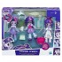 Hasbro figurina Equestria cu accesorii c1721
