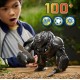Transformers Rise of the beasts Optimus Primal Animatronic Hasbro F3937