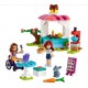 Lego 41753 Friends Clatitarie