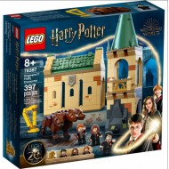 Lego Harry Potter 76387 Intalnirea cu Fluffy