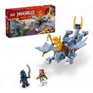 Lego Ninjago 71810 Tanarul dragon Riyu