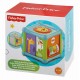 Cub activitati Fisher Price BFH80