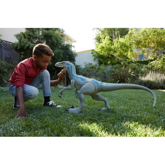 Jurassic World dinozaur urias Velociraptor Blue Mattel GCT93