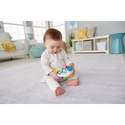 Controller interactiv Fisher-price in limba romana GXR66