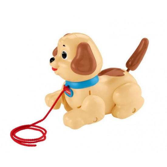 Catelus adorabil Fisher Price Mattel H9447