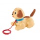 Catelus adorabil Fisher Price Mattel H9447