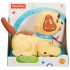 Catelus adorabil Fisher Price Mattel H9447