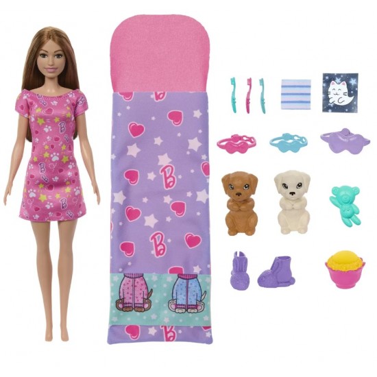 Papusa BARBIE FAMILY Set petrecere cu 2catelusi color Change Mattel HXN01