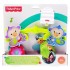 Jucarie de agatat la carucior Fisher price bhw59