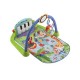 Centru de activitati Fisher Price Play Piano BMH49