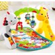 Centru de joaca 3in1 Fisher Price CCB70