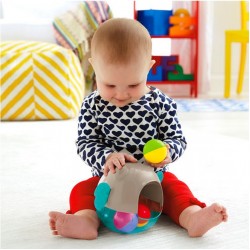 Bufnita cu clopotei si activitati 2in1 Fisher Price
