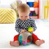 Bufnita cu clopotei si activitati 2in1 Fisher Price
