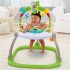 Centru de activitati saritor Fisher Price chn38