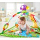 Centru de activitati Fisher Price DFP08