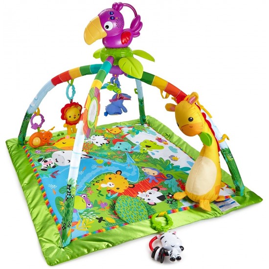 Centru de activitati Fisher Price DFP08