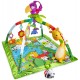 Centru de activitati Fisher Price DFP08