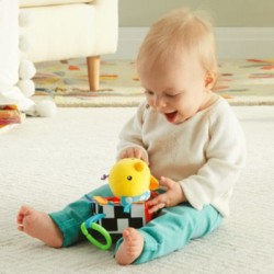Vrabiuta cantareata Fisher-price Dfp95