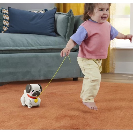 Jucarie de tras Fisher Price  Catel interactiv cu miscari si sunete Mattel HTW94