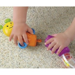 Fisher Price Omida grupeaza piesele