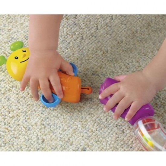 Fisher Price Omida grupeaza piesele