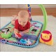 Saltea bebe Fisher Price W9898