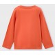 Mayoral bluza baieti 173-79