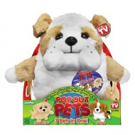 Pop out pets 3 in 1 catei