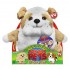 Pop out pets 3 in 1 catei