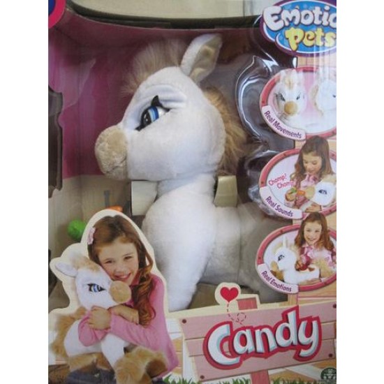 Poneiul Candy