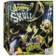 Johnny the skull
