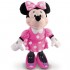 Minnie Povestitoarea