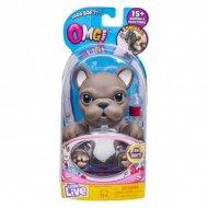 Catelus OMG Buldog Francez Moose 26096