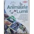 Animalele lumii joc Tactic 58629