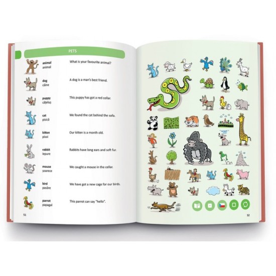 Raspundel istetel carte Dictionar englez-roman 28733