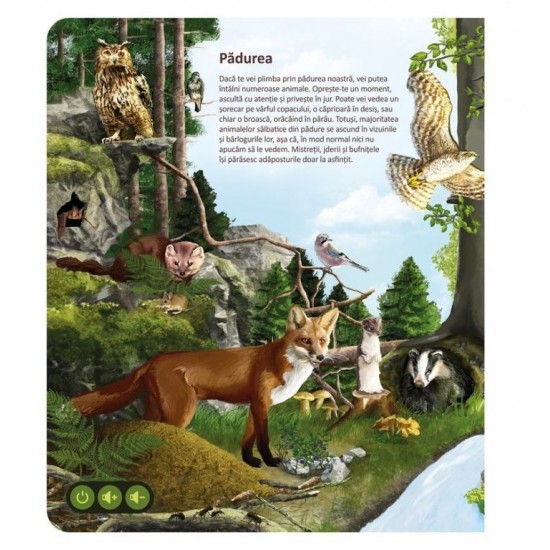 Raspundel istetel carte Lumea animalelor 69436
