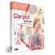 Raspundel istetel carte Corpul uman 69367