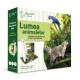 Raspundel istetel pachet creion si carte Lumea animalelor 69366