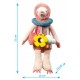 Jucarie educativa plus Babyono Lenny 1465