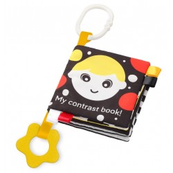 Carte educativa Babyono 543