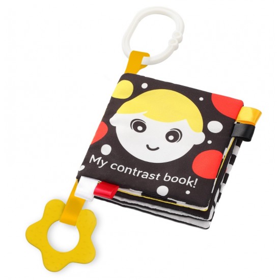 Carte educativa Babyono 543
