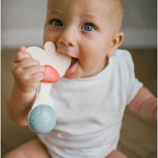 Sunatoare bebe cu inel gingival Babyono 1589