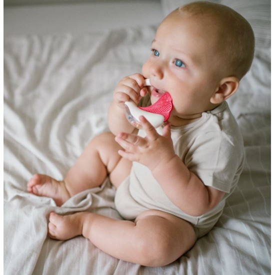 Sunatoare bebe cu inel gingival Babyono 1593