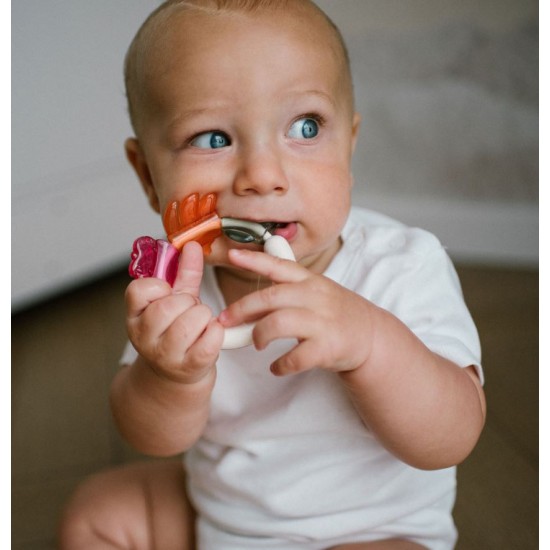 Sunatoare bebe cu inel gingival Babyono 1594