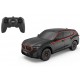 Masina cu telecomanda BMW XM, Rastar, 1:24, 10240