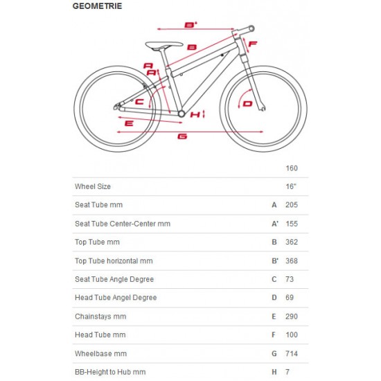 Bicicleta CUBE Team Kid 160 Girl