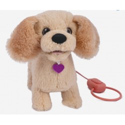 Mera catelusa Golden Retriever Noriel 6734