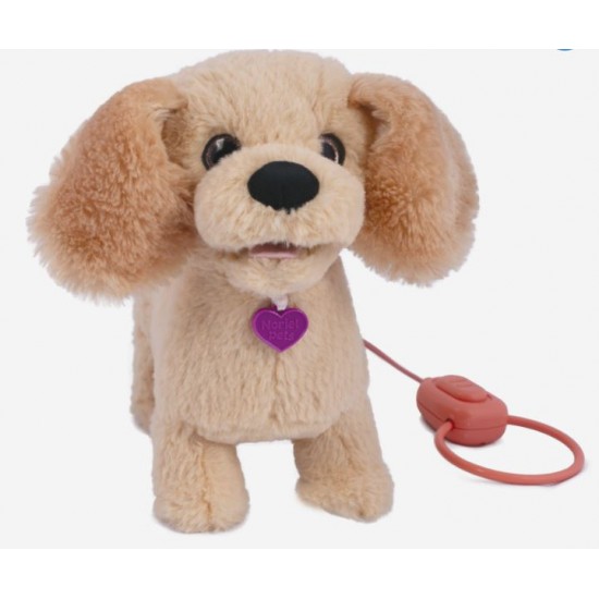 Mera catelusa Golden Retriever Noriel 6734