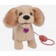Mera catelusa Golden Retriever Noriel 6734
