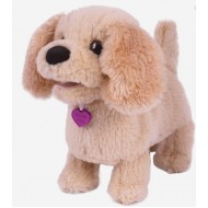 Mera catelusa Golden Retriever Noriel 6734